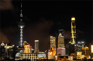 The Shanghai YY Dog Contest, netizens queuing to adopt cute and adorable pets